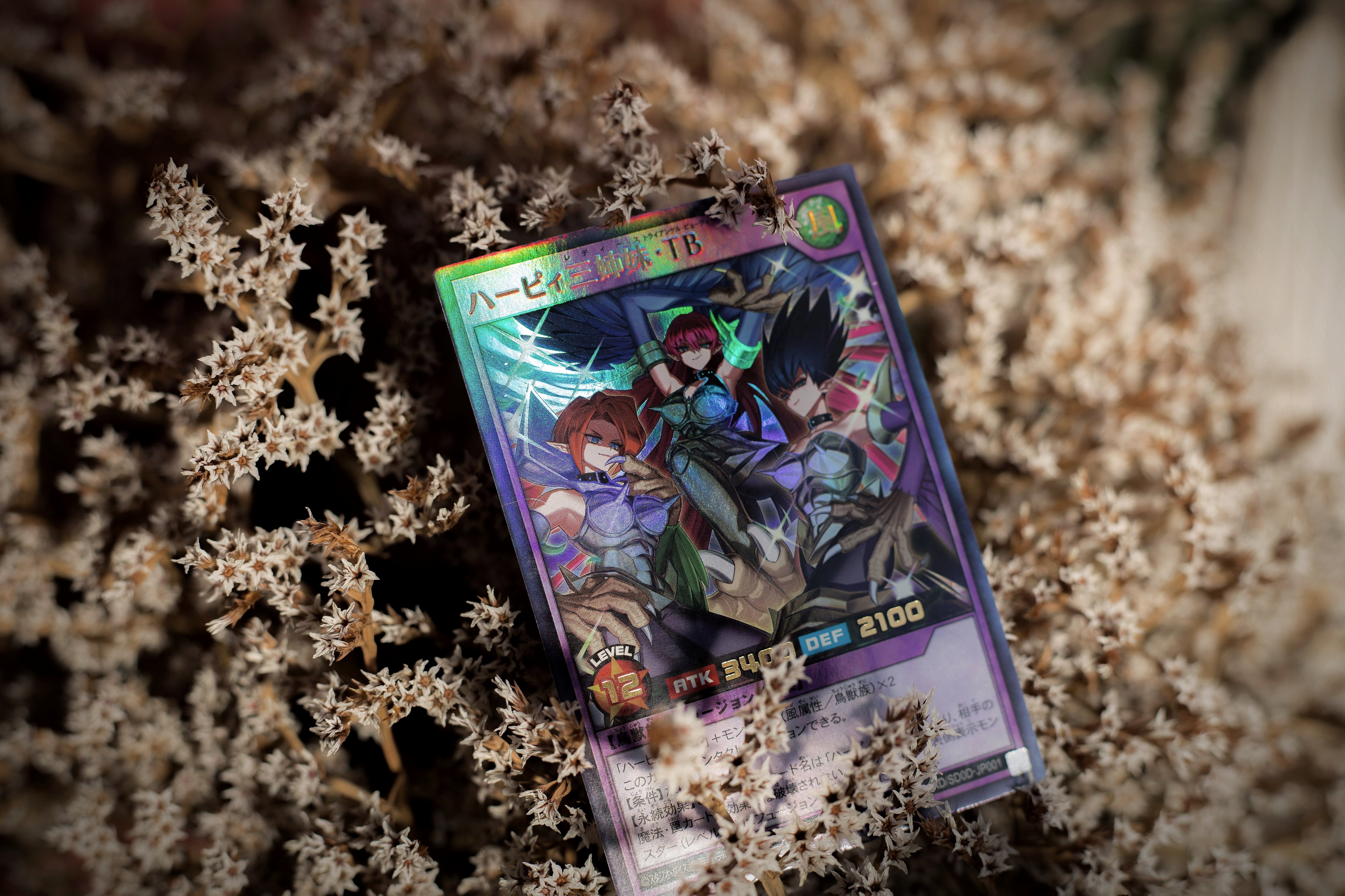 A vibrant holographic trading card resting on a natural dried plant background, showing the foil and artwork detail of a numbered parallel